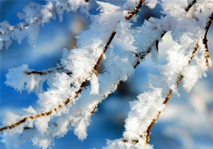 Декабрь 2013 года стал самым теплым в истории России