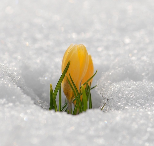 Сегодня 29 марта, день серьёзный...