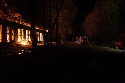 Под Санкт-Петербургом сгорел памятник архитектуры