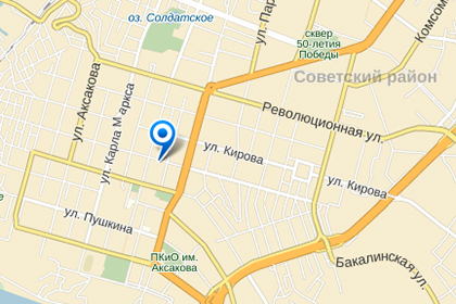 В Уфе женщина-водитель въехала в колонну из 100 детей