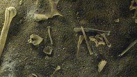 В Хакасии дети нашли тысячелетние человеческие останки