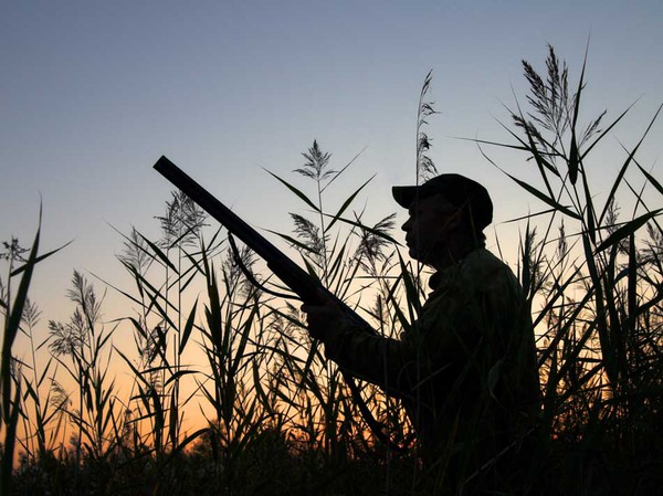 Ачинские полицейские проводят оперативно-профилактические мероприятия «Охотник»