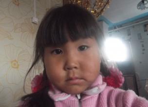 Поиски пропавшей в мае 4-летней девочки продолжаются в Туве