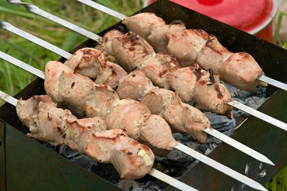 В России предложили ввести «налог на шашлык» в лесу