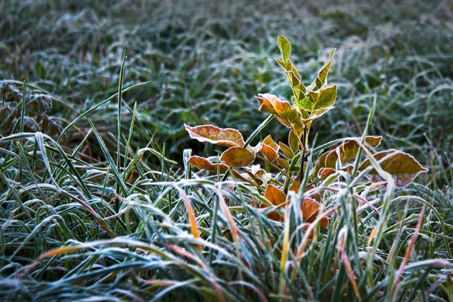 С воскресенья в Ачинске похолодает