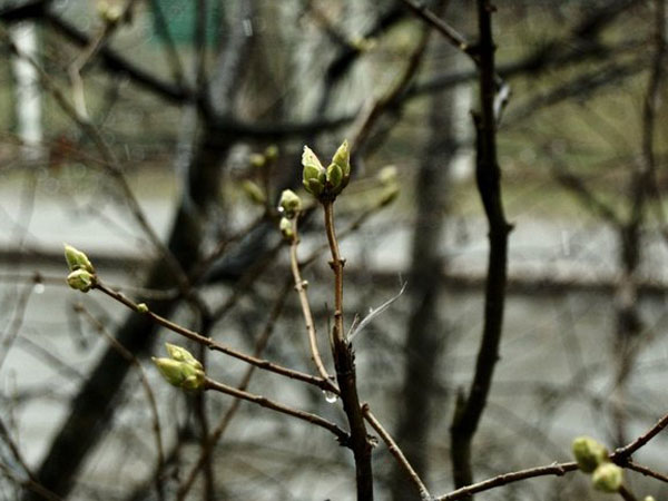 В Ачинск идет похолодание и снег