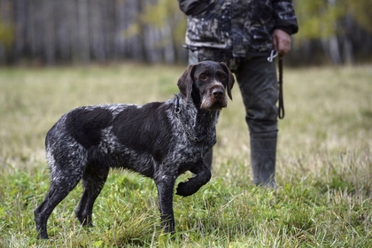 Якутские охотники по ошибке убили сборщика ягод