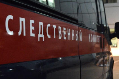 В Москве годовалого ребенка убило упавшим телевизором