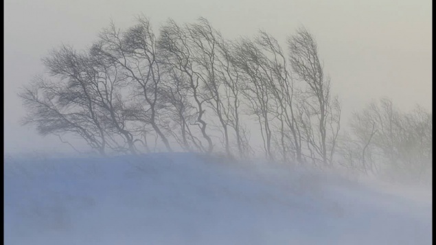 Синоптики обещают метель и сильный ветер