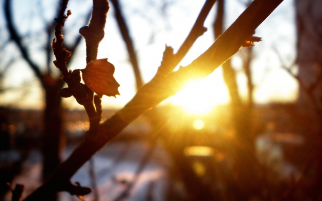 Среда станет последним холодным днем перед потеплением