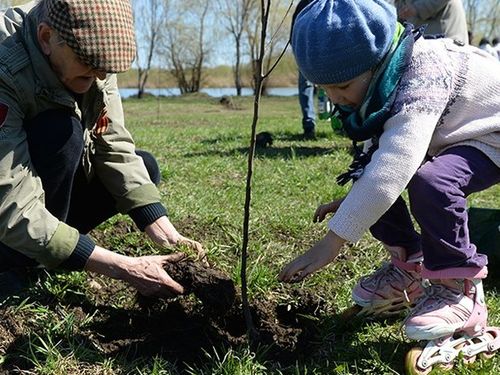 "Посади дерево". "День Чулыма": в юбилейном Ачинске пора весеннего благоустройства