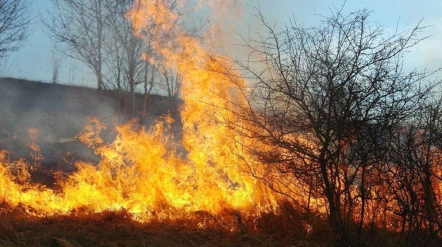 В Красноярском крае штрафуют сжигающих мусор дачников