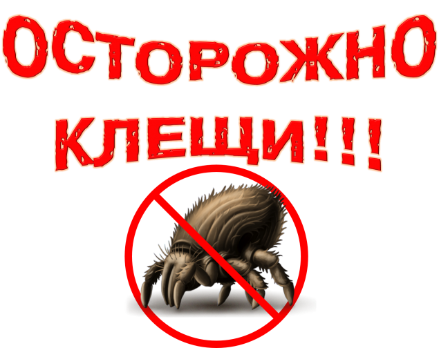 Почти тысяча человек пострадала от клещей на этой неделе