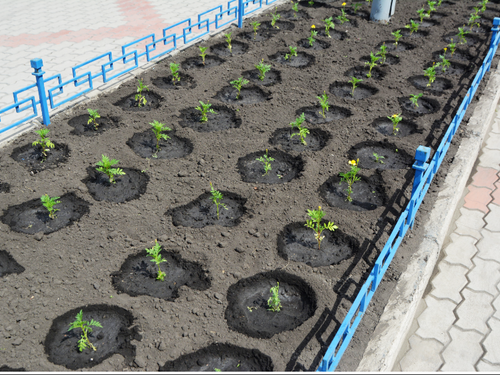 Ачинские предприниматели облагораживают город к юбилею