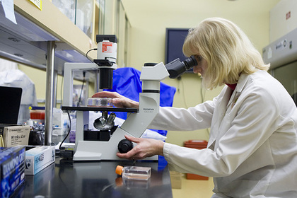 Выявлены продлевающие жизнь препараты