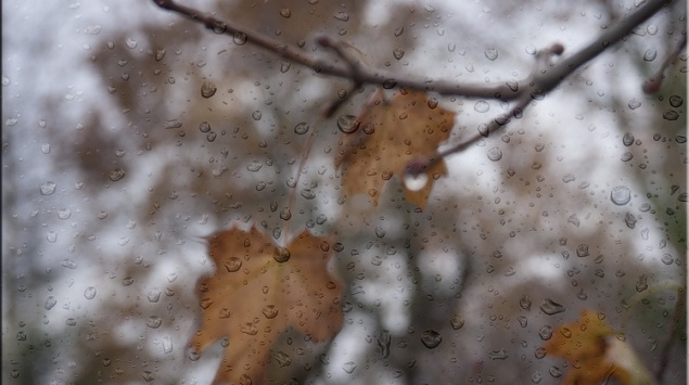 В Ачинске лето кончилось по расписанию