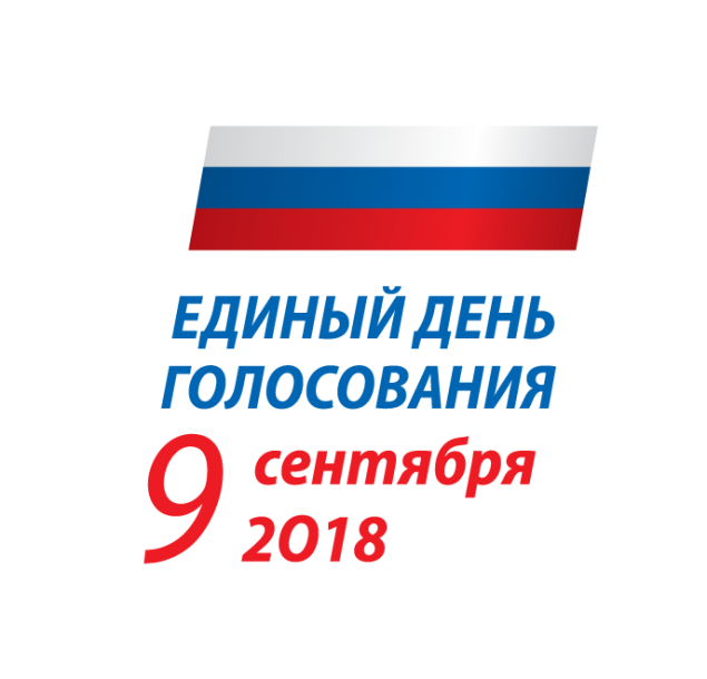 ЛДПР вышла на первое место на выборах в Горсовет Красноярска