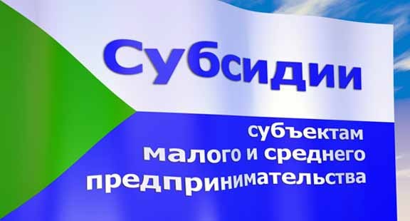 В Назарово бизнесмен обманул мэрию и незаконно получил субсидию