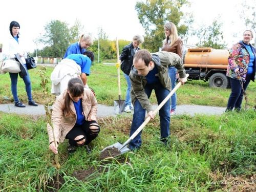 Зеленая волна: 8 октября городские власти приглашают ачинцев принять участие в акции «Посади дерево»