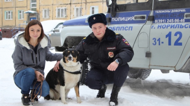 ЧП со счастливым финалом: в Норильске спасли тонущую собаку и нашли ей новый дом