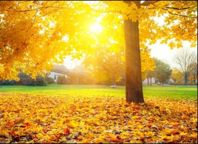 Последние выходные октября в Красноярском крае и Хакасии порадуют теплом и солнцем