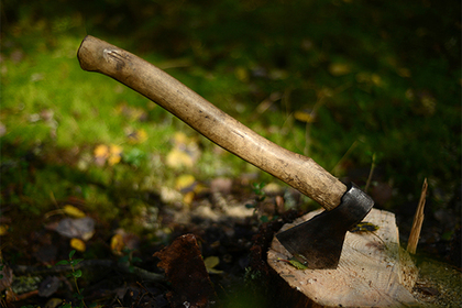 Волгоградский подросток пронес топор в школу и принял яд в кабинете директора