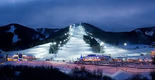 В «Бобровом логу» открылся каток