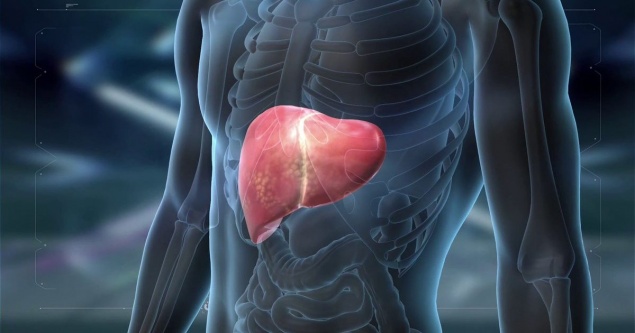 Лечим без таблеток заболевания печени и желчевыводящих путей