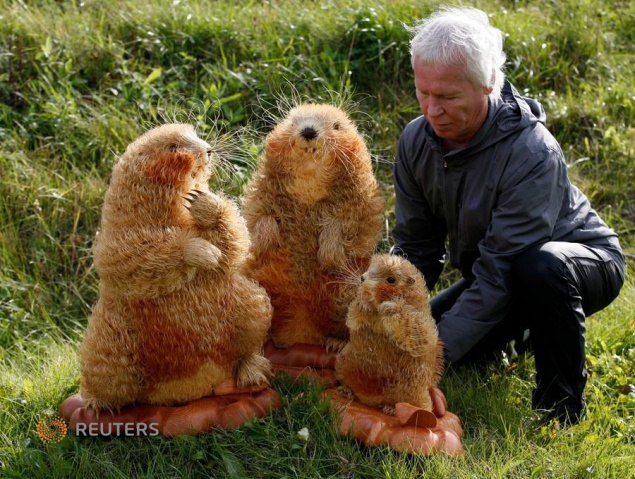 Уникальные скульптуры животных у жителя Красноярского края выкупил музей Новосибирска