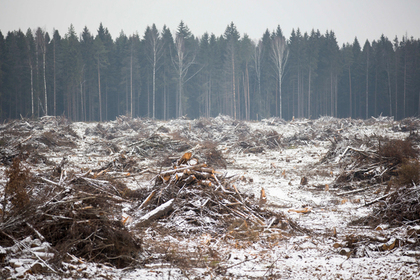 Доказано существование «климатической бомбы» в России