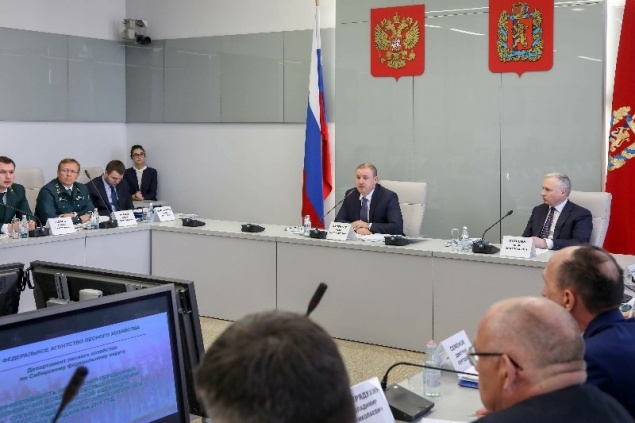 Красноярский край получит из федерального бюджета больше миллиарда рублей на защиту леса