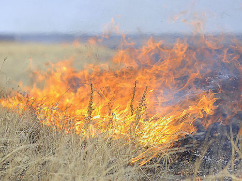 ЕДДС города Ачинска напоминает: ТРАВЯНЫЕ ПАЛЫ ЗАПРЕЩЕНЫ!