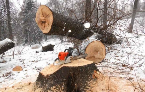 В Туруханском районе отец-дровосек проломил сыну череп