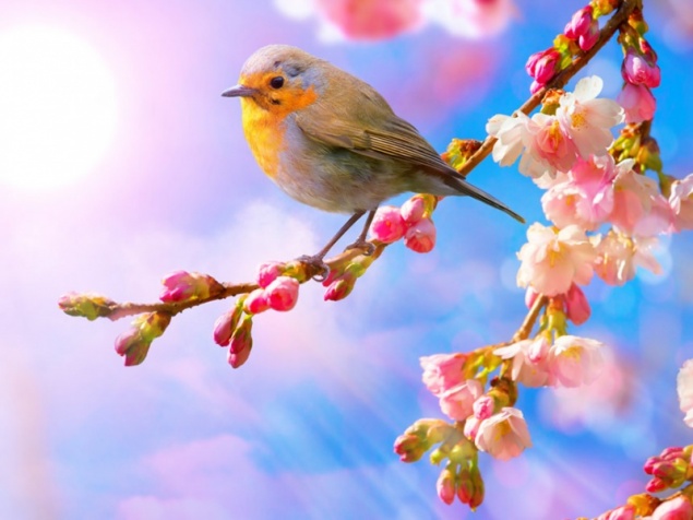 Последняя рабочая неделя апреля в Красноярском крае и Хакасии по-летнему жаркая