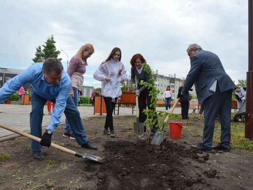Озеленение ачинского сквера «Металлургов» продолжается