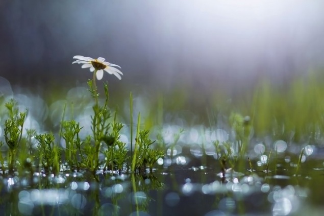 Первая половина рабочей недели будет прохладной и дождливой