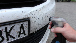 Как избавиться от следов мошек на автомобиле?