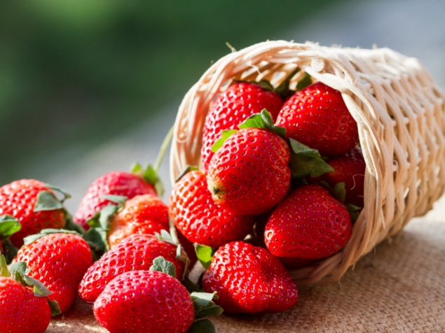 «Вкусно — не значит можно»: медики рассказали красноярцам о пользе и вреде клубники