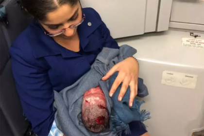 Самолет экстренно сел из-за родившей на борту пассажирки