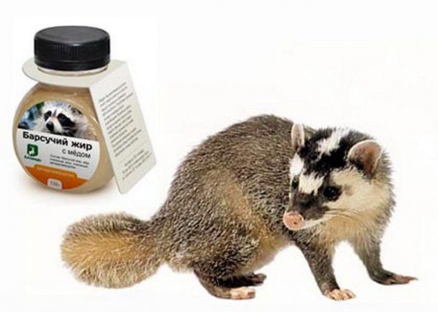 Барсучий жир