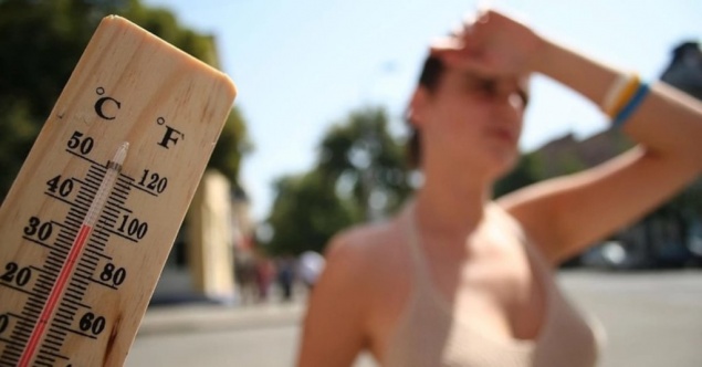 Июль 2019 года стал самым жарким на планете за всю историю наблюдений. Метеорологи бьют тревогу