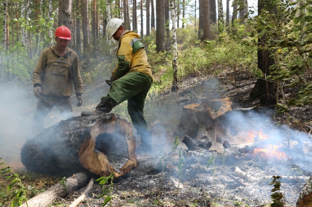 Глава Минприроды предложил привлекать блогеров к освещению чрезвычайных ситуаций