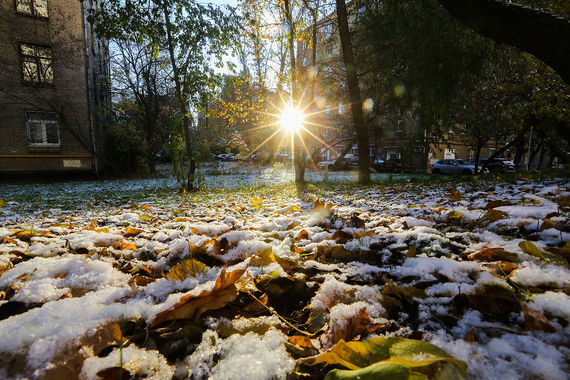 Синоптики пообещали первый снег к концу недели