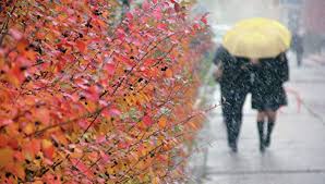 Рабочая неделя начнется с летней погоды, но к выходным похолодает