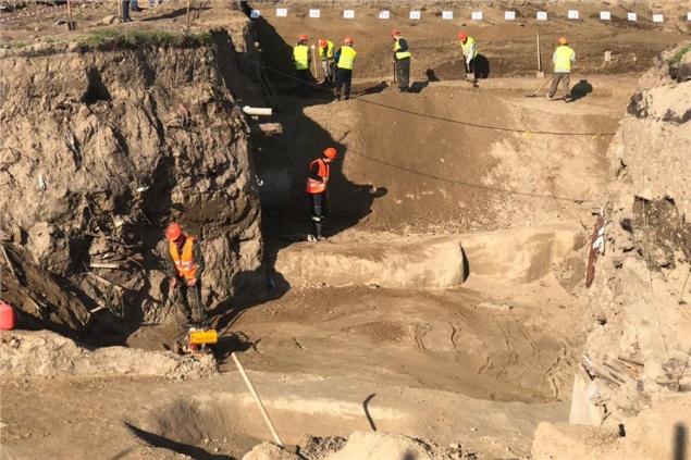 Красноярские археологи раскопали лошадь возрастом 11 тысяч лет