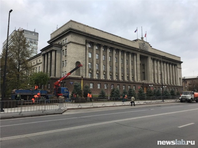 У здания правительства Красноярского края взамен вырубленных посадили новые ели