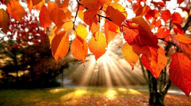 Красноярцев ждет очень теплая рабочая неделя