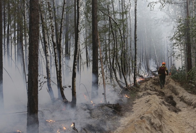 Лесных пожарных Красноярского края уличили в приписках для увеличения зарплаты