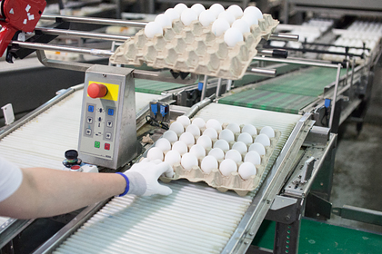 Россияне объелись яйцами