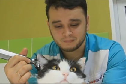 Российскому ветеринару пригрозили тюрьмой за спасение животных от эвтаназии